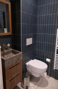 a blue tiled bathroom with a toilet and a sink at L'étoile d'or - Palace in Vichy +12 photos