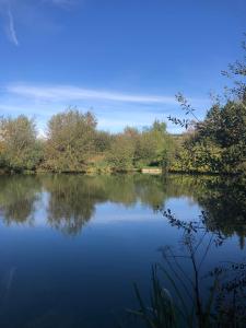 a view of a river with trees at Le Petit Paradis de Marcelise in Le Ponchel