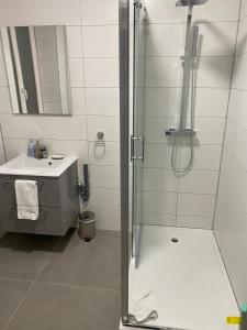uma casa de banho com um chuveiro e um lavatório. em La Petite Auberge de Strasbourg em Estrasburgo