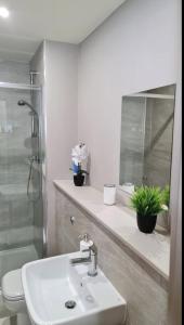 La salle de bains est pourvue d'un lavabo, de toilettes et d'un miroir. dans l'établissement Charming 1-Bed Apartment in Leeds, à Leeds