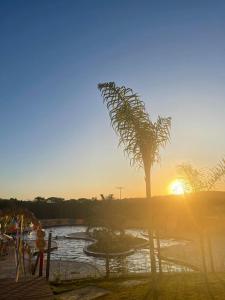 eine Palme mit Sonnenuntergang im Hintergrund in der Unterkunft Apartamento Lagoa Ecotowers resort in Caldas Novas