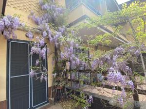 Zahrada ubytování IL GIARDINO DI ZEUS