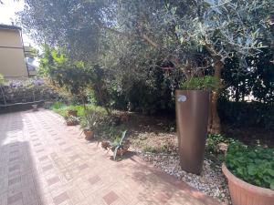 Zahrada ubytování IL GIARDINO DI ZEUS