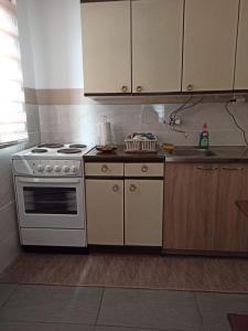 a kitchen with a stove and a sink at Apartman Kutak in Pirot +21 photos