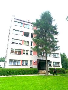 a man walking in front of a building with a tree at Marel - apartments STUDIO 11 Duszniki Zdrój in Duszniki Zdrój