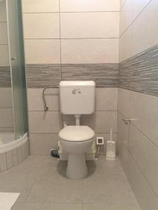 Ένα μπάνιο στο Orhideja Apartmani +12 φωτογραφίες