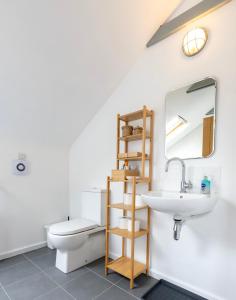 een badkamer met een toilet, een wastafel en een spiegel bij The Loft and the Cabin. Rathlin Island in Rathlin Island