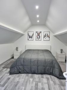 a bedroom with a large bed in a attic at Gîte moderne, tout confort avec extérieur in Givenchy-en-Gohelle