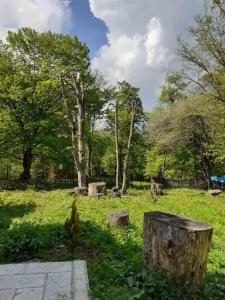 גינה חיצונית ב-Lost In Nature! Dream House in Dilijan National Park!