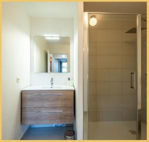 La salle de bains est pourvue d'un lavabo et d'une douche. dans l'établissement Chez Clemence T3 Ville La Grand, à Ville-la-Grand