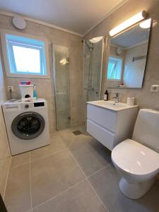 ein Badezimmer mit einem Waschbecken und einer Waschmaschine in der Unterkunft Store Ringheim Apartment - Villa Hjadlane in Vossevangen
