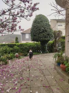 a dog walking down a sidewalk with flowers at Real Santo António Guest House in Tarouca
