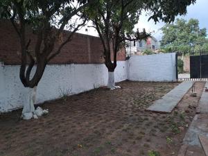 zwei Bäume in einem Hof neben einer weißen Wand in der Unterkunft Lugar de descanso in Santa Cruz de la Sierra