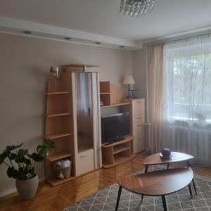a living room with a tv and a table at Holiday Apartments 10 in Druskininkai