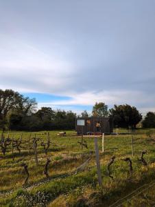 une maison dans un champ avec une clôture dans l'établissement Tiny House au milieu des Vignes, à Arbis