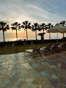 a group of chairs and an umbrella and palm trees at Platzia Beach Villas in Paphos City