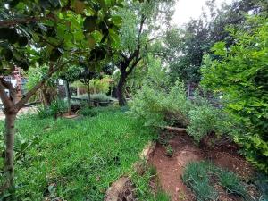 a garden with grass and trees and a bench at At Ease Road Lodge in Zeerust +1 photo