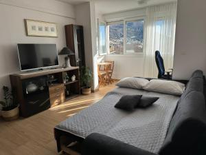 Μια τηλεόραση ή/και κέντρο ψυχαγωγίας στο Apartment Vrilo