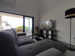 uma sala de estar com um sofá e uma televisão em Lodge Tamarins em Saint-Pierre
