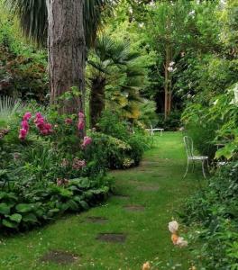 een tuin met een boom en een stoel en bloemen bij La Malposte in Reviers