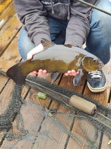 バリーナモアにあるWaterfront Lodges - South Cabinの魚を手に持つ者