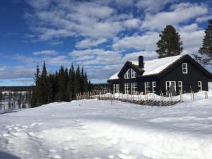 New and cozy family cabin on Golsfjellet during the winter
