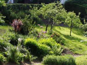 a garden with plants and trees in a yard at La Villa Marguerite in Pourville-sur-Mer