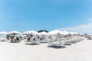 um grupo de cadeiras e guarda-sóis numa praia em Pool Ilha da Madeira Resort em Rivera de São Lourenço