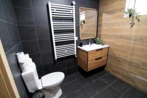 a bathroom with a toilet and a sink and a mirror at Cabana din Lunca in Lunca Bradului +31 photos