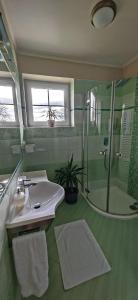 a green bathroom with a sink and a shower at Apartmá Kanada in Štramberk