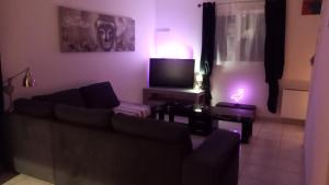 ein Wohnzimmer mit einem Sofa und einem TV in der Unterkunft Maison Gruissan Mateille in Gruissan