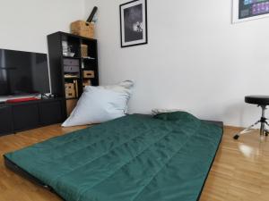 a bed with a green blanket in a room at Center Schwabing Spacious flat in Munich