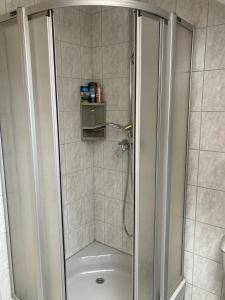 a shower with a glass door in a bathroom at NaturPur in Monschau