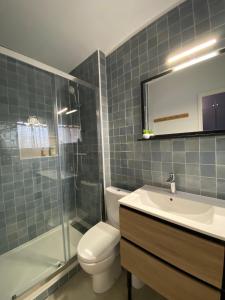a bathroom with a toilet and a sink and a shower at Horizon sur le Cher in Montrichard