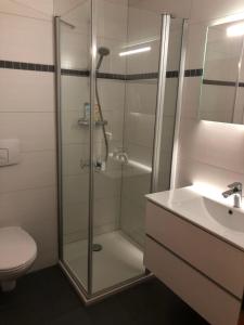a bathroom with a shower and a toilet and a sink at Yachthafenresidenz-Wohnung-8404-866 in Kühlungsborn