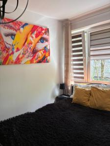 尼薩的住宿－Apartament Teresa，卧室配有壁画和床