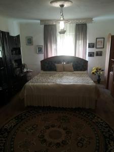 Schlafzimmer mit einem großen Bett und einem Fenster in der Unterkunft Country Romania Home in Frunzi