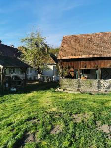 um quintal em frente a uma casa com um campo de relva em Country Romania Home em Frunzi