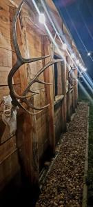 a wall with antlers on the side of a building at Myśliwska chata Staś i Nel in Bystrzyca Kłodzka