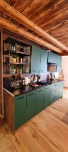 a kitchen with green cabinets and a black counter top at Myśliwska chata Staś i Nel in Bystrzyca Kłodzka