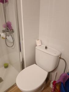 ein weißes Bad mit einem WC und einer Dusche in der Unterkunft Éxito 888 in Alicante