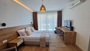 Waterside SPA Hotel في أوجنيانوفو: غرفه فندقيه بسرير ومكتب ونافذه