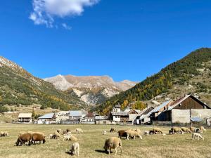 a herd of sheep grazing in a field with mountains at Chalet prestige front de neige 14 pers in Ceillac