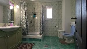 uma casa de banho com uma banheira, um WC e um lavatório. em David House em Bicaz