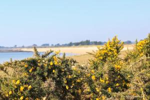 Příroda nedaleko prázdninového domu