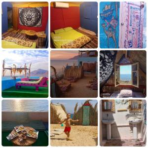 a collage of different pictures of different rooms at Perry’s Island Camp Al Mezina in Nuweiba