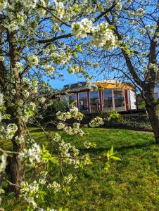 una casa con un árbol con flores blancas en el patio en Haus Perthen, en Berggiesshübel