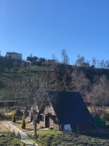 a house with a black roof on a hill at Elmalook Bungalov & Tatil Köyü in Rize