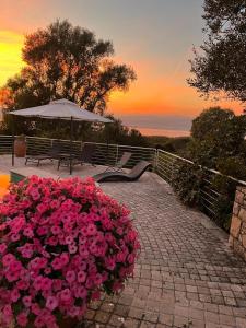 Gallery image of Villa Gloria in Sesto Calende +61 photos