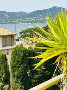 a view of a house with trees and the water at Eden in Saint-Tropez